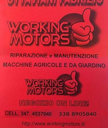 scopri le offerte sullo store working motor online