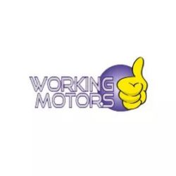 working motors