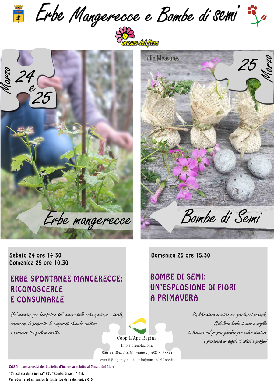 Bombe di semi per un'esplosione di fiori a primavera ed erbe spontanee   Scopri come riconoscerle ! - e-CHOOSE